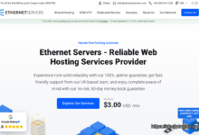 EtherNetservers 优惠：洛杉矶 / 德 / 新泽西机房 VPS，10Gbps 带宽低至 $3 / 月-主机评论